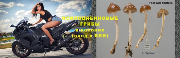 PSILOCYBIN Карпинск