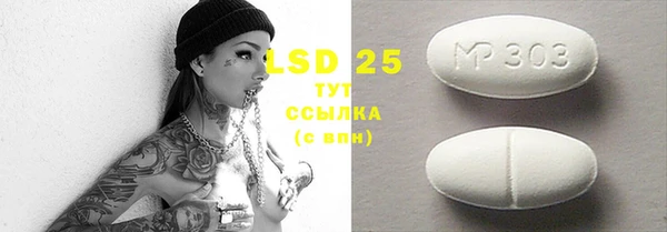 PSILOCYBIN Карпинск