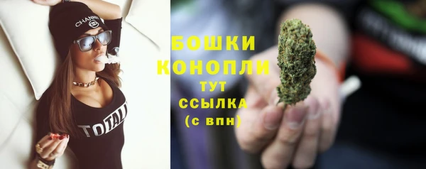 PSILOCYBIN Карпинск