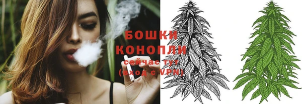 PSILOCYBIN Карпинск