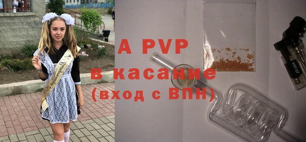 бошки Новодвинск