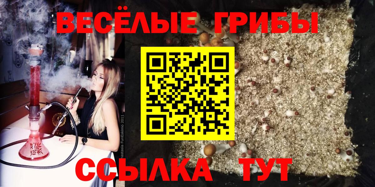 Галлюциногенные грибы Cubensis  Вход с VPN  Осинники 
