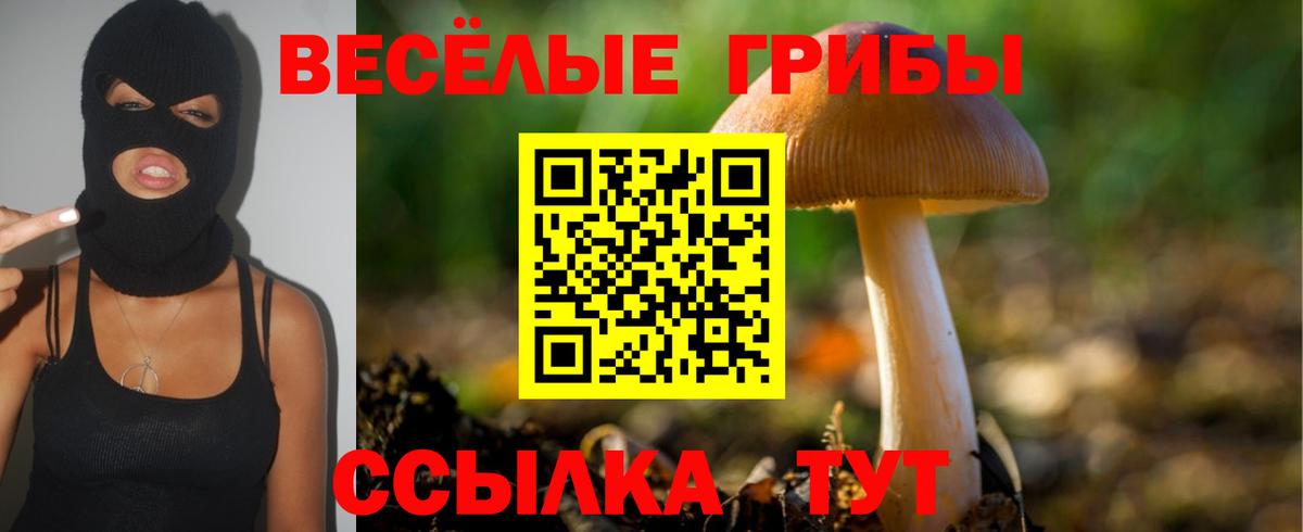 Псилоцибиновые грибы ЛСД Осинники